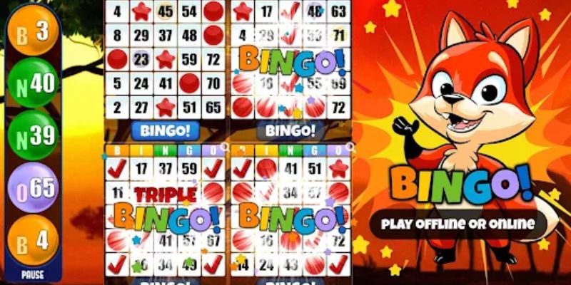 How to Play Online Bingo at 7jl