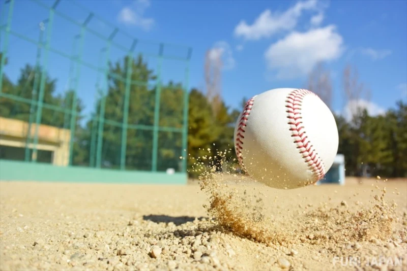Common terms in online baseball betting
